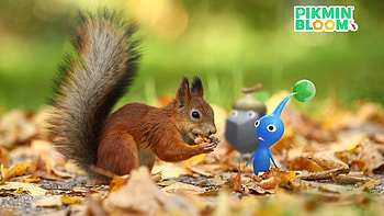 Pikmin Bloom : A Charming Encounter in Nature, Pikmin HD wallpaper