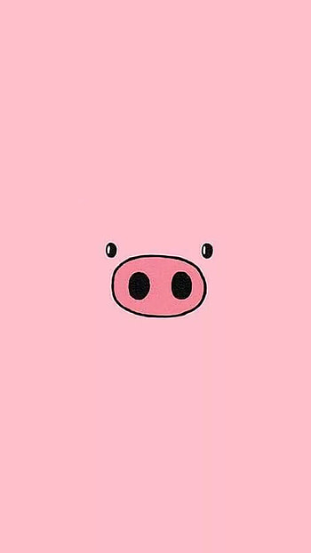 Popular pig , Funny pig backgrounds, Piggy , Cute animal HD phone wallpaper