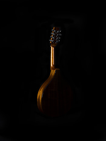 Mandola music, Fylde guitars newsletter, Welcome message HD phone wallpaper