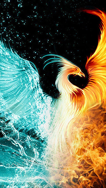 Phoenix . . Phoenix HD phone wallpaper