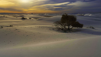 A serene and beautiful sunrise from White Sands National Monument, sky, sun, landscape, trees, clouds, usa HD wallpaper
