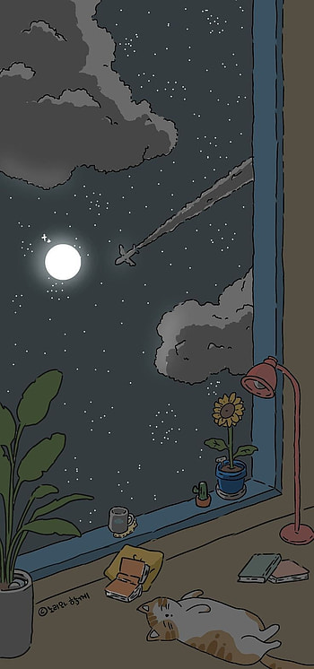 Hiiiiii, Cielo, Gato HD phone wallpaper