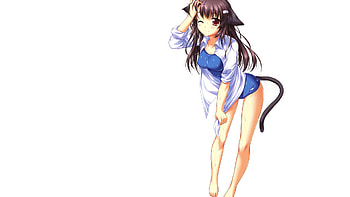 Anime Â· Anime Girl Cat WallDevil HD wallpaper