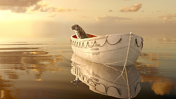 Life of Pi, Schiffbruch mit Tiger, , Hintergratilde HD wallpaper