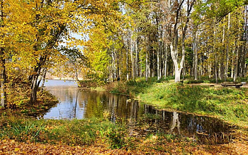 Park in Latvia, autumn, river, Latvia, park, bench HD wallpaper
