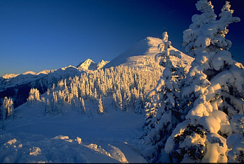 Magic Winter, magica, iarne, minunata, zapada HD wallpaper