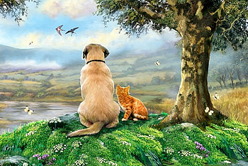By Howard Robinson, dog, kitten, animal, art, howard robinson, cat, grass, tree, puppy, painting, view HD wallpaper