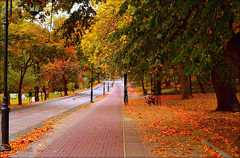 Autumn road, Bench, Leaves, Park, Foliage, Lights, Fail HD wallpaper
