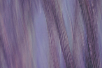 Abstract, Violet, Blur, Smooth, Purple, Distortion HD wallpaper