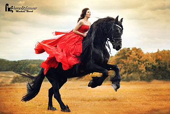 :), model, black, horse, marketa novak, red, cal, dress, animal, girl, woman HD wallpaper
