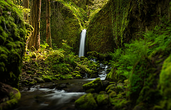 Gushing waterfall, Verdant surroundings, Refreshing mist, Natural wonder HD wallpaper