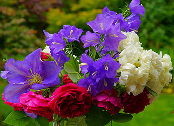 Flowers, Roses, Bluebells, Blur, Smooth, Bouquet, Clematis HD wallpaper