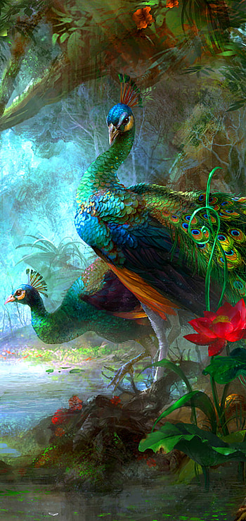 Peacocks, bird, colorful, Animal, peacock HD phone wallpaper
