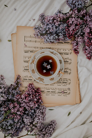 Music, Flowers, Lilac, Miscellanea, Miscellaneous, Cup, Tea, Notes HD phone wallpaper