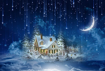Winter moonlit night, Winter, cootage, moon, light, snow, beautiful HD wallpaper
