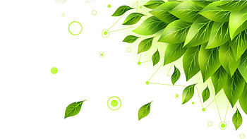 LEAVES, summer, fresh, SPRING HD wallpaper