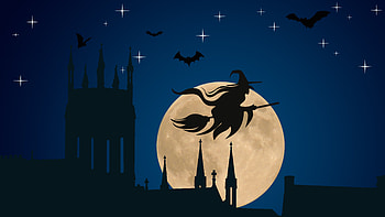 Halloween Witch, halloween, celebrations, holidays, witch HD wallpaper