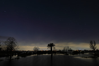 Nature, Sky, Night, Dark, Silhouette, Palm HD wallpaper