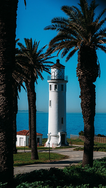 Cities, Sea, Architecture, Palms, Building, Shore, Bank, Lighthouse HD phone wallpaper