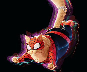 Spider-Man: Across the Spider-Verse Cat -, movie, Spider-Man: Across the Spider-Verse HD wallpaper