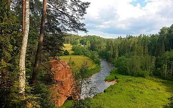 Amata River in Latvia, trees, Latvia, river, rock, spruces HD wallpaper