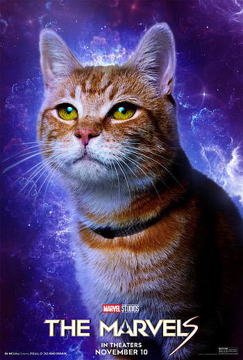 The Marvels Cosmic Cat - Background, movie HD phone wallpaper