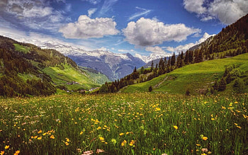 Mountain Meadow, clouds, meadow, flowers, mountains HD wallpaper