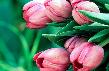 ***, b, v, x, c HD wallpaper