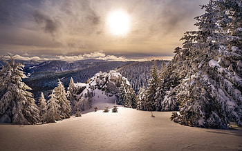 Snow Covered Mountain, trees, winter, mountain, snow HD wallpaper