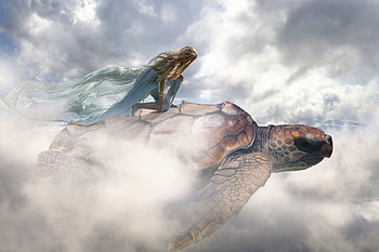 Fantasy Art Turtle, fantasy, artist, art, turtle HD wallpaper