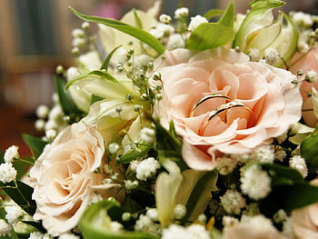 WILL YOU MARRY ME?, rings, pink, wedding, roses HD wallpaper