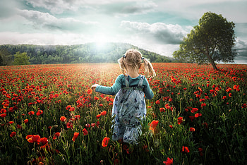 Field, , Child, Little Girl, Poppy, Running HD wallpaper