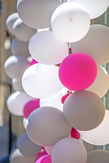Colorful display of pink and white balloons creating a festive atmosphere. HD phone wallpaper