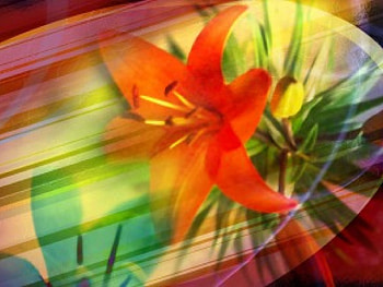3d and fantasy , abstract, 3d HD wallpaper
