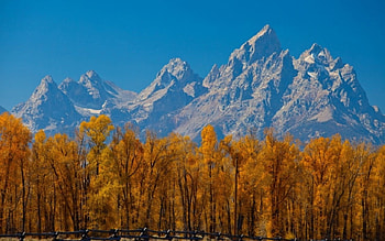 Mountain, nature, snow, tree HD wallpaper