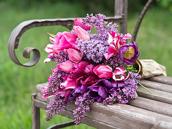 Spring bouquet, bench, purple, pink, bouquet, tulip, flower, spring, lilac HD wallpaper