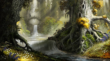 Mirkwood, Elrond wisdom, Lord of the Rings, Movie HD wallpaper