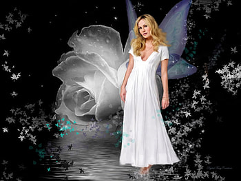 Rose Fairy, fairy, rose, wings, white, leaves, lilac HD wallpaper