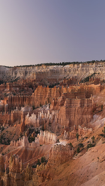 Grand Canyon creek, Desert scene, Nature's serenity, Landscape graphy HD phone wallpaper