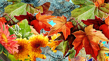 Fall Foliage, fall, colors, Firefox theme, leaves, oak, maple, bright, autumn, flowers HD wallpaper