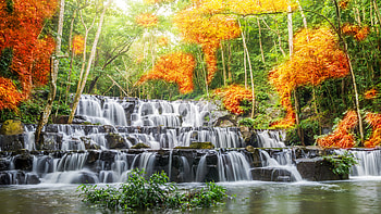 Beautiful Waterfalls Scenery Yellow Green Leaves Trees Forest Backgroud Reflection On River Nature HD wallpaper