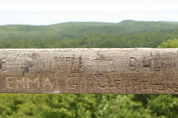 Names of the World , names, mountains, wood, green HD wallpaper