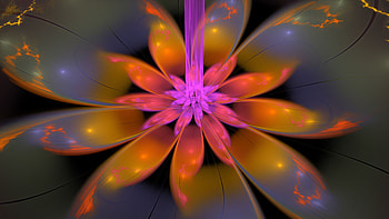 Purple Yellow Flower Petals Glow Abstraction Abstract HD wallpaper