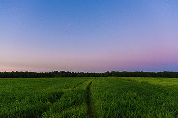 Green landscape, sunset, clean sky HD wallpaper