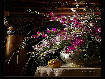 Still life, table, nature, flower HD wallpaper