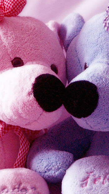 Teddy Bear, cute HD phone wallpaper