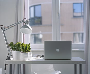 Bright modern workspace with laptop, potted plants, and desk lamp near a window. HD wallpaper