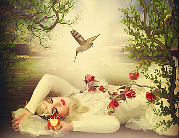 Fairy Tale, humming, bird, snow white HD wallpaper
