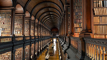 Beautiful, Library, , Teeth HD wallpaper