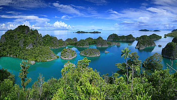 Raja Ampat Islands, West Papua province, Windows 10 spotlight , Landscape HD wallpaper